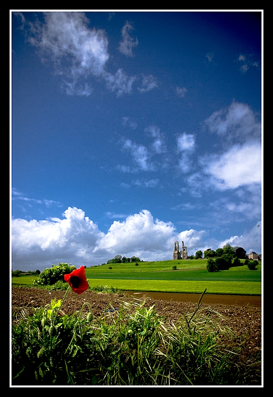 mont saint éloi