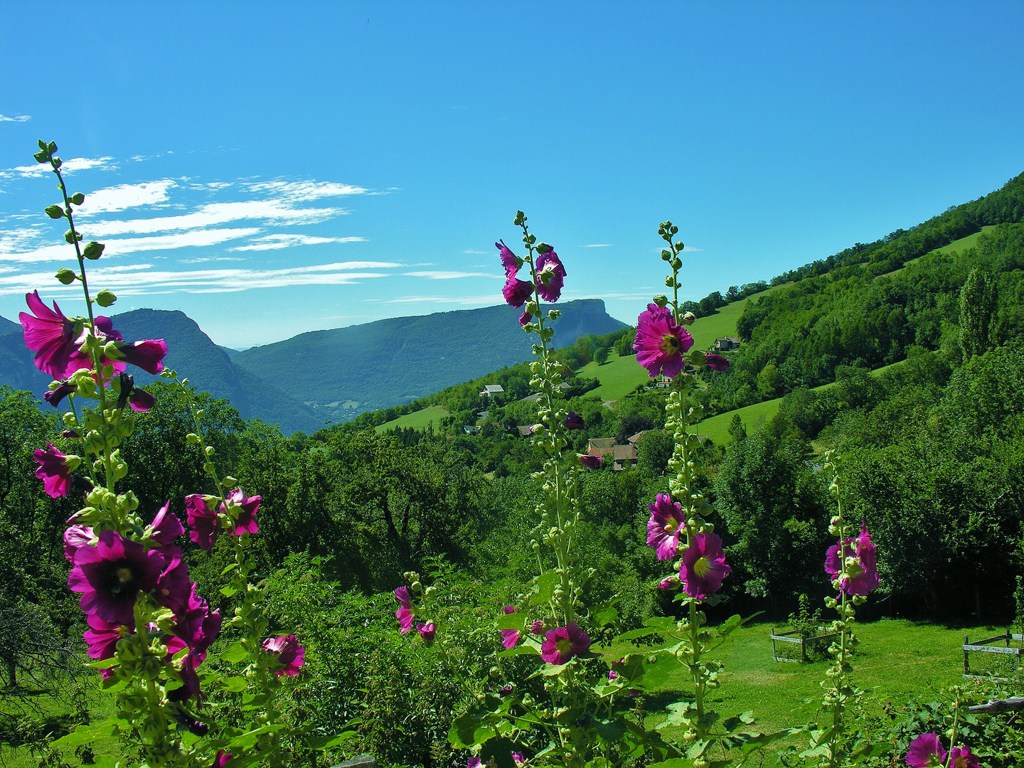 Mont SAINT MARTIN en Chartreuse