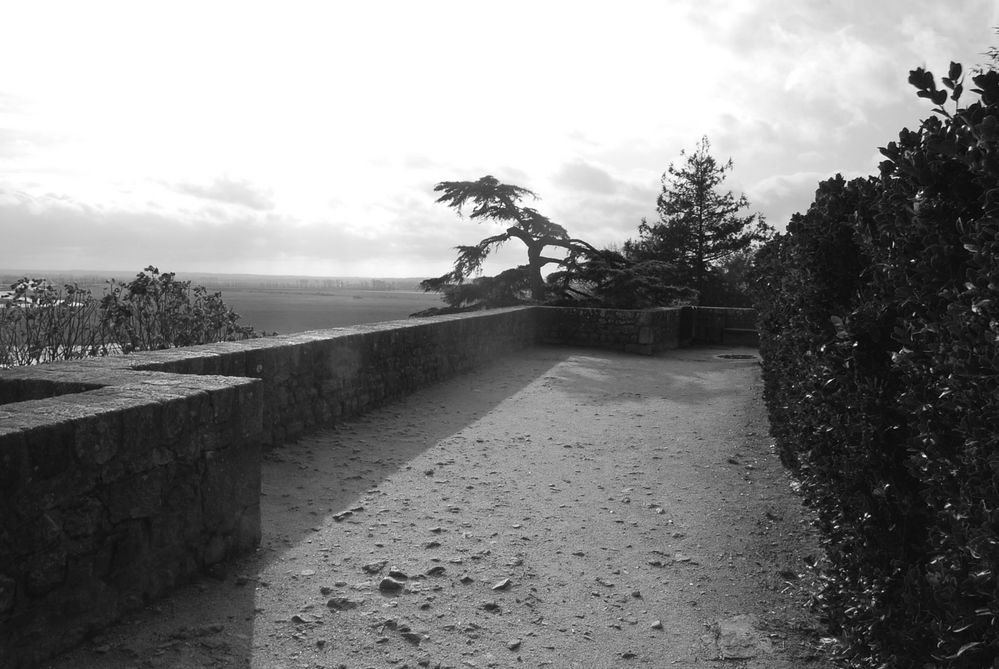 Mont-Saint-Michel 4