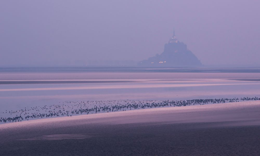 Mont-Saint-Michel: Abend im Watt der Normandie (I)