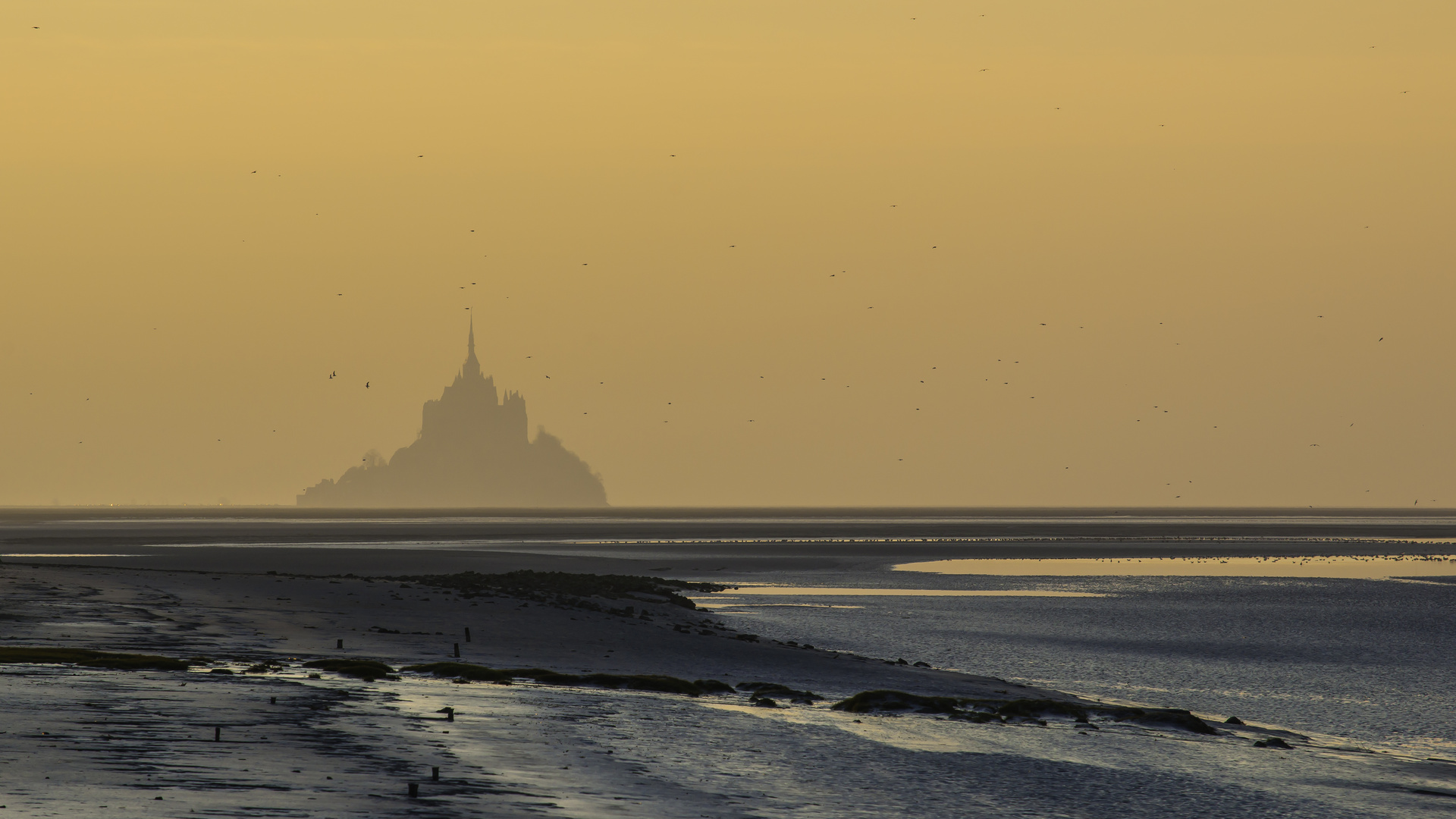 Mont-Saint-Michel: Abend im Watt der Normandie (II)