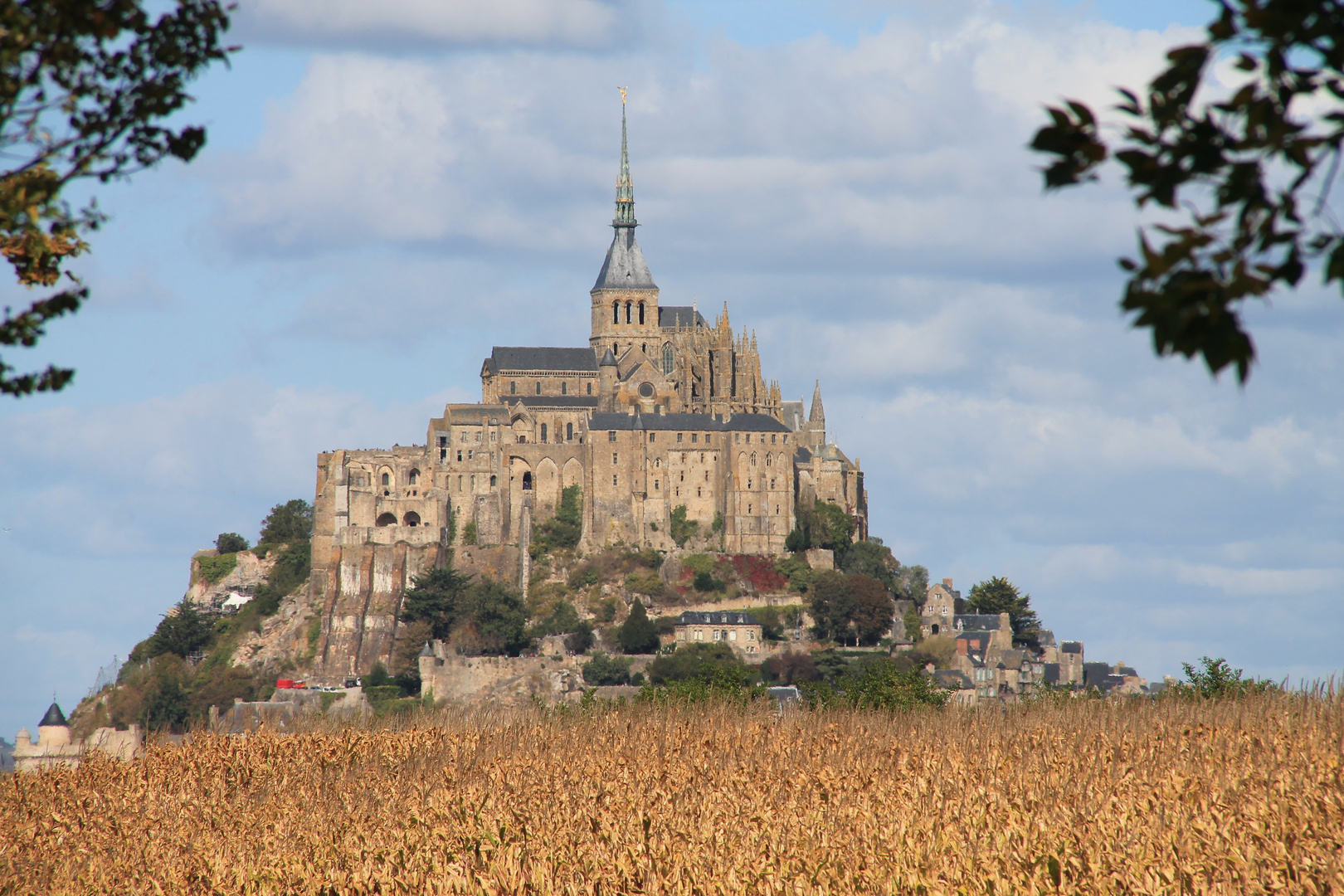 Mont Saint Michel hinter einem Maisfeld