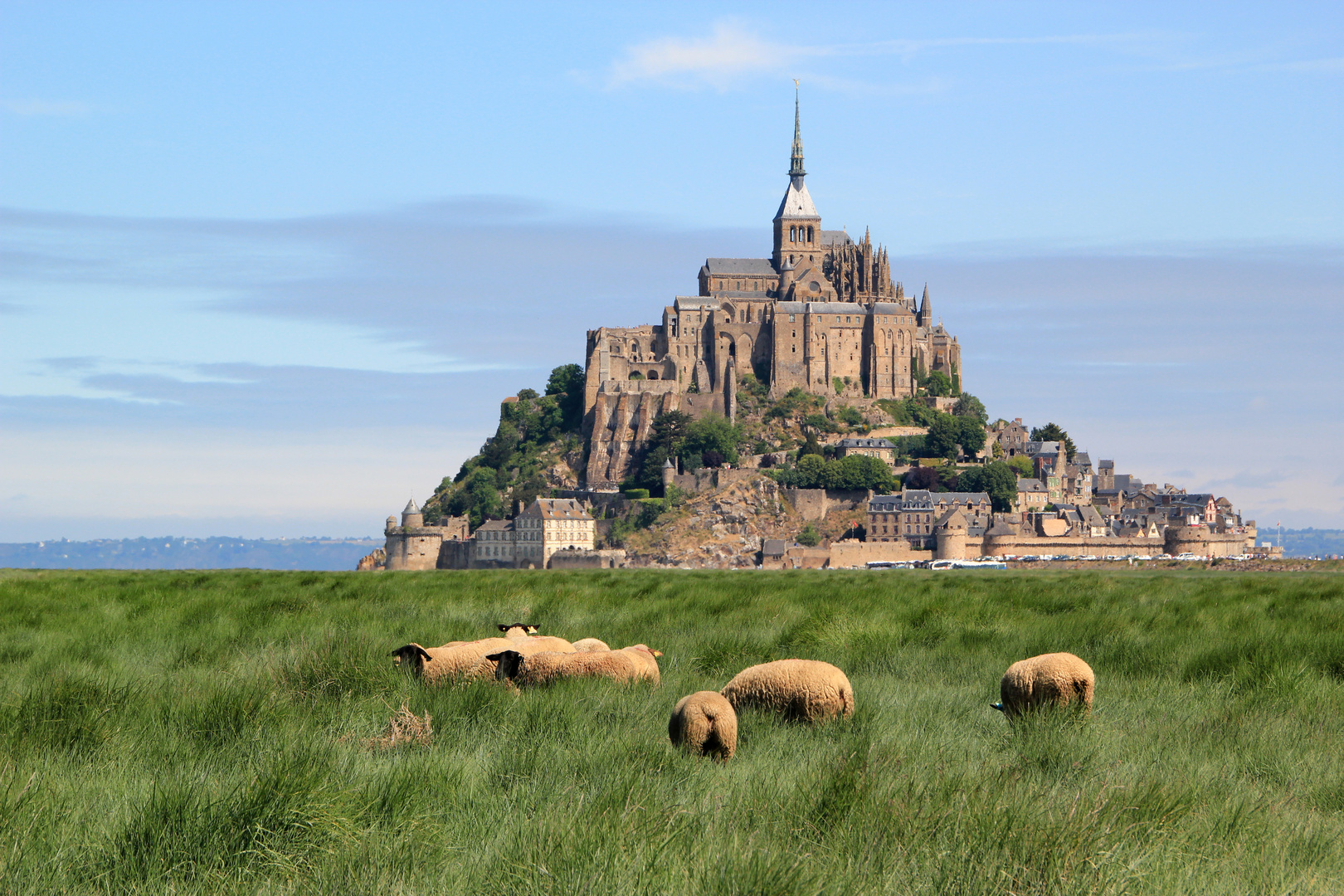 Mont-Saint-Michel im Grünen