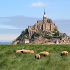 Mont-Saint-Michel im Grünen