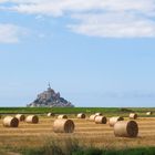 Mont St. Michel - harvest