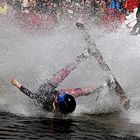 Mont Tremblant Caribou Splash Cup,