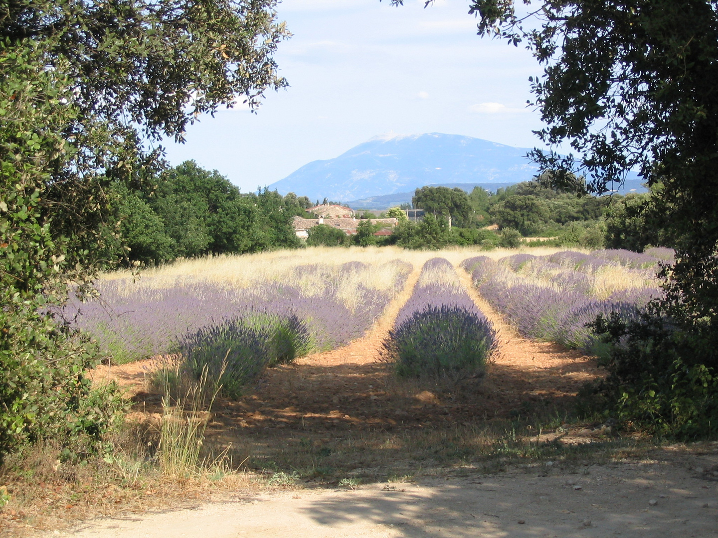 Mont Ventoux