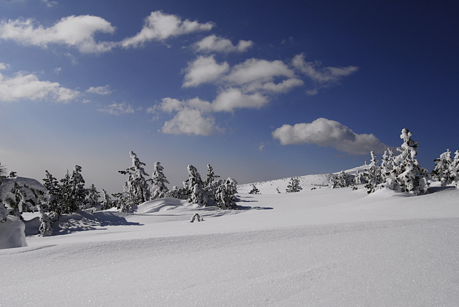 Mont Ventoux