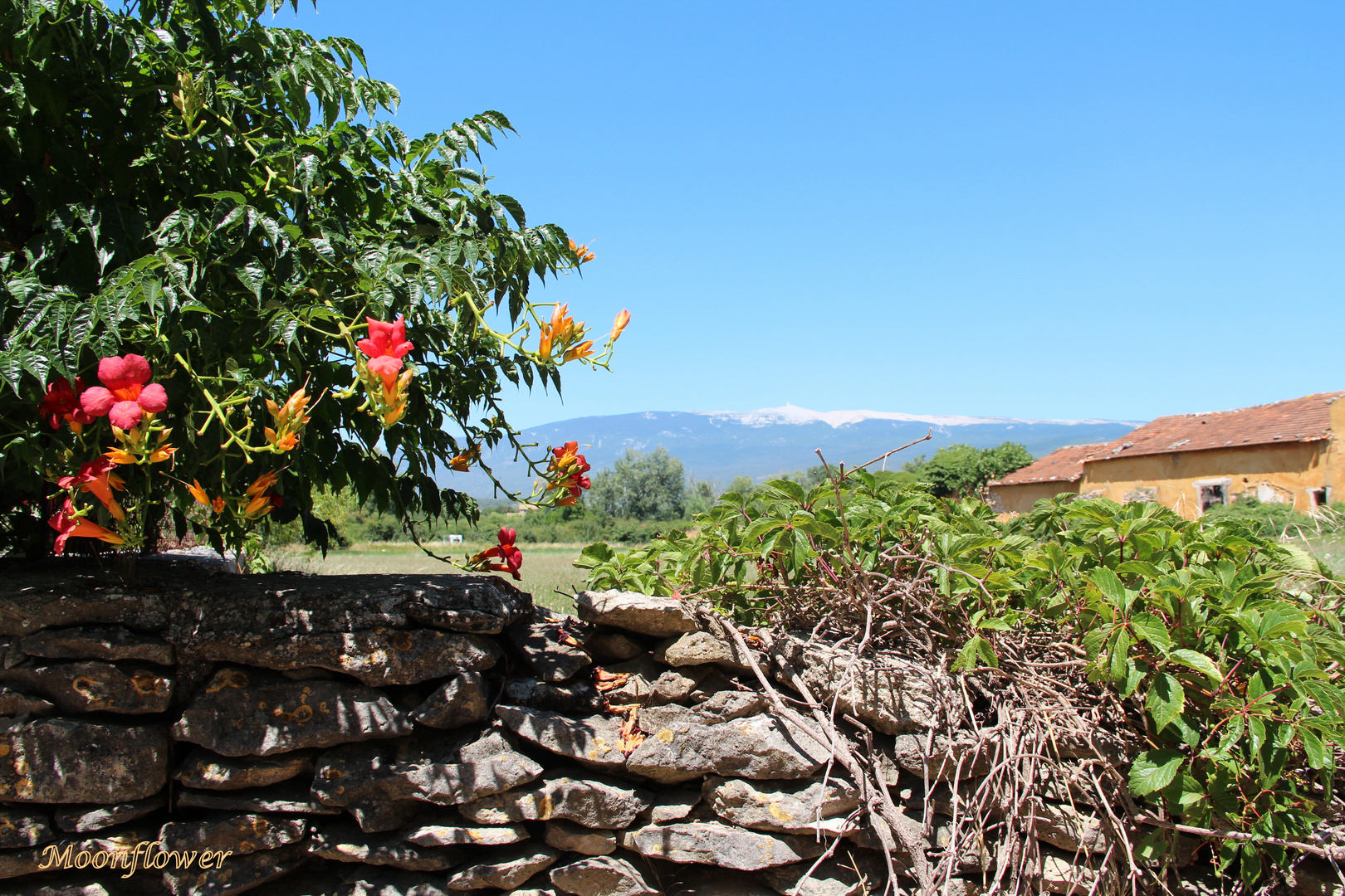 Mont Ventoux