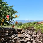 Mont Ventoux