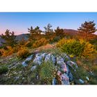 Mont Ventoux