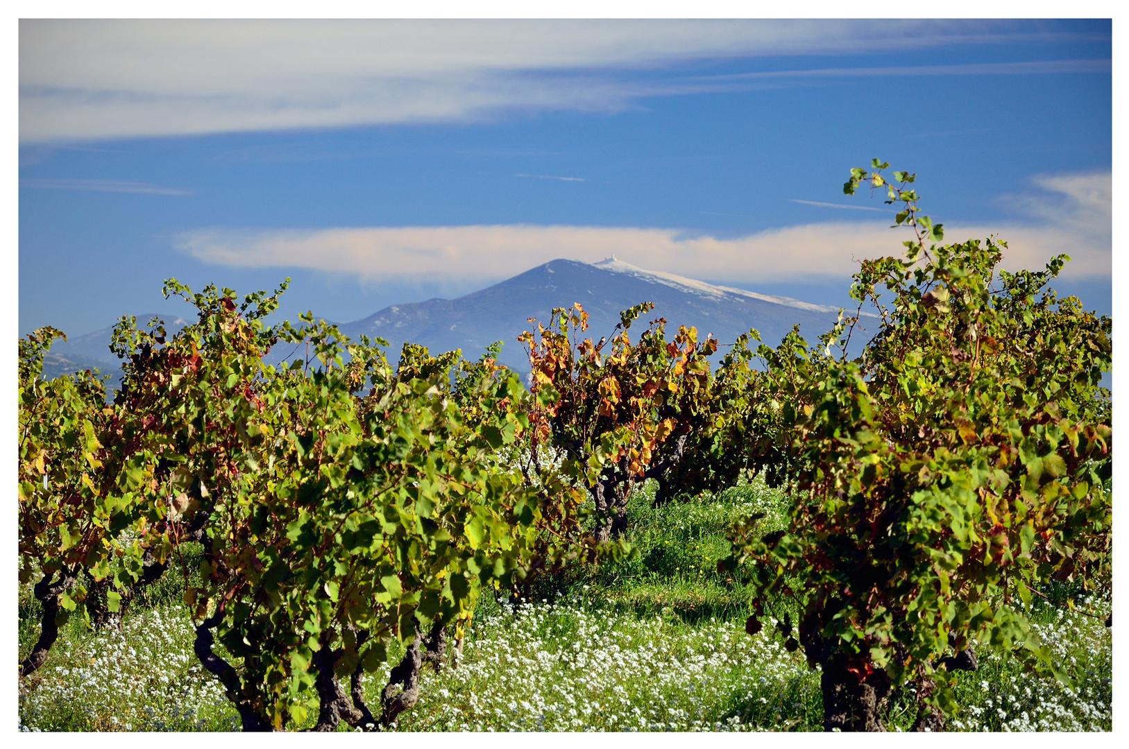 Mont Ventoux