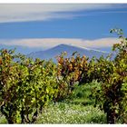 Mont Ventoux