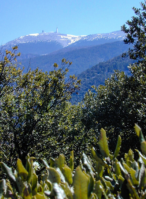 Mont Ventoux