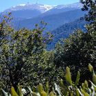 Mont Ventoux