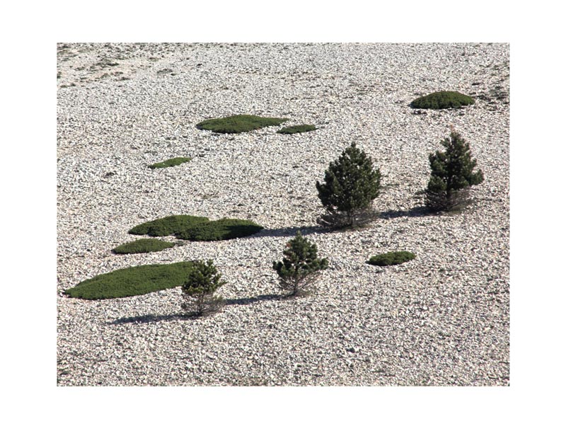 Mont Ventoux