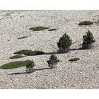 Mont Ventoux