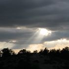 Mont Ventoux Nordseite