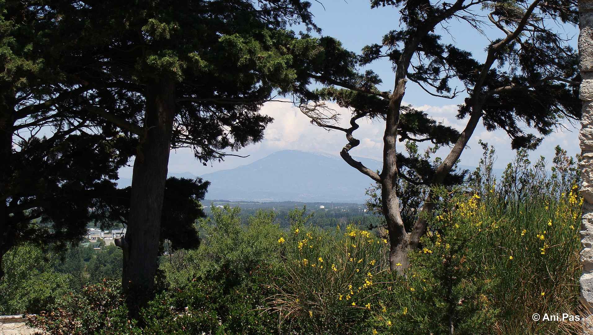 Mont Ventoux und der Duft der Provence