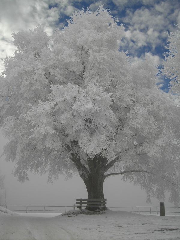 Mont Vully 2006