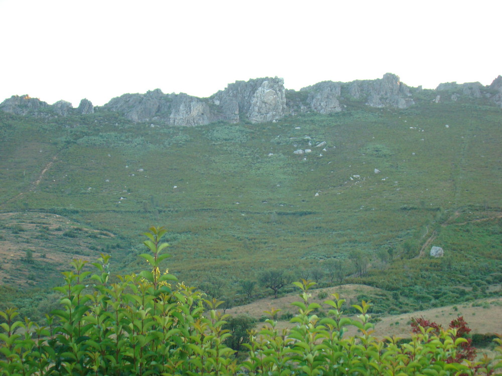 montaña