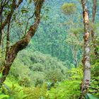 Montaña de Honduras