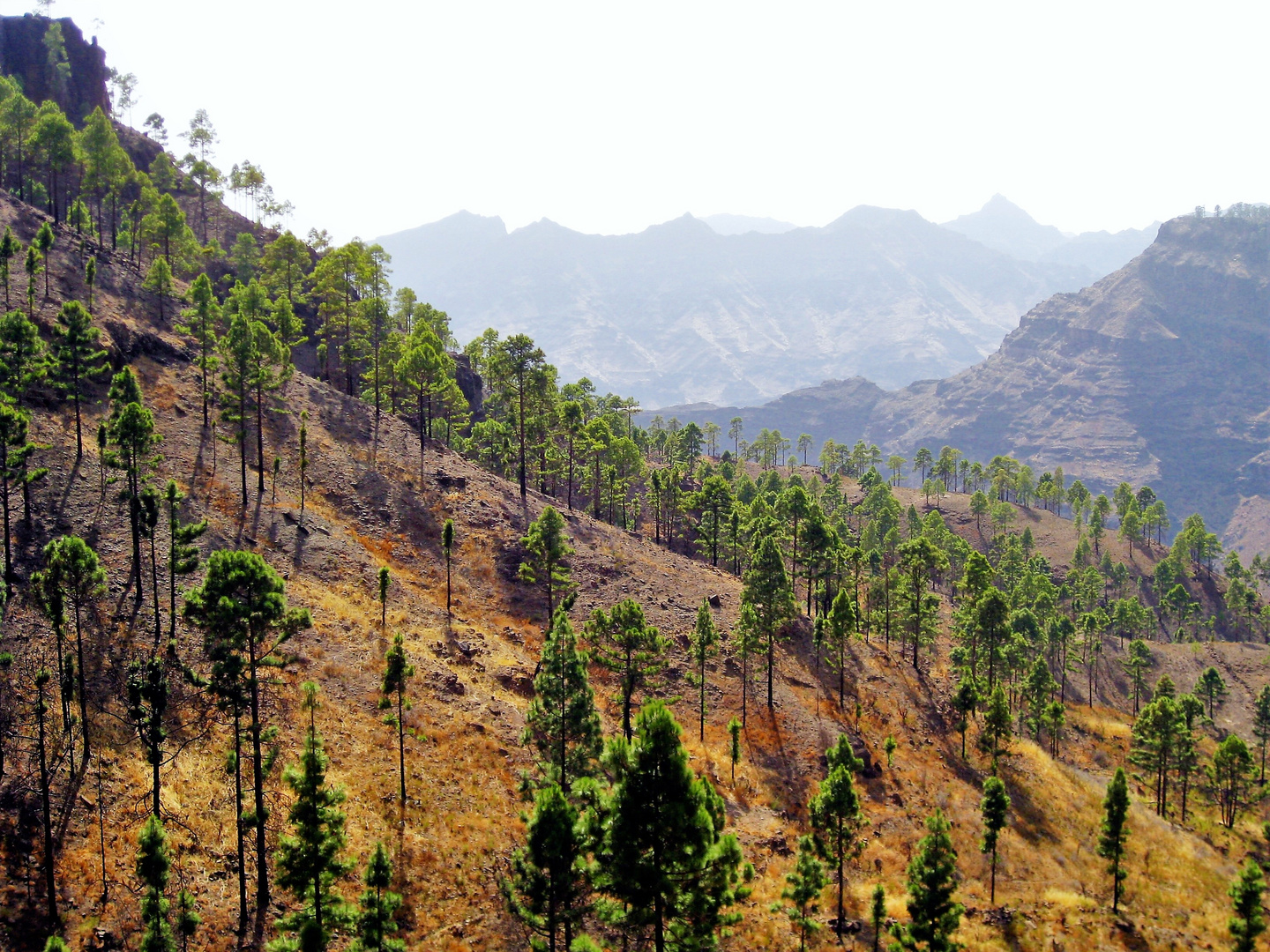 Montaña de Tauro 