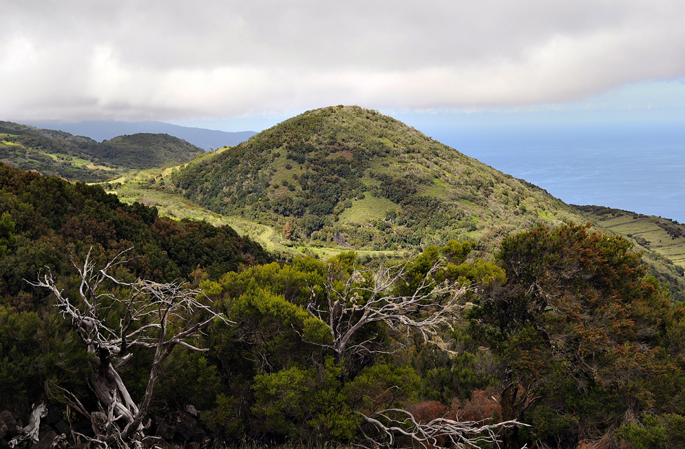 Montaña Vinijore