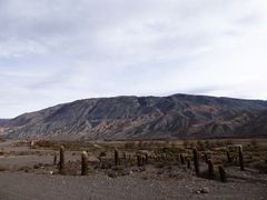 Montañas de Salta, con su ejército de cardones