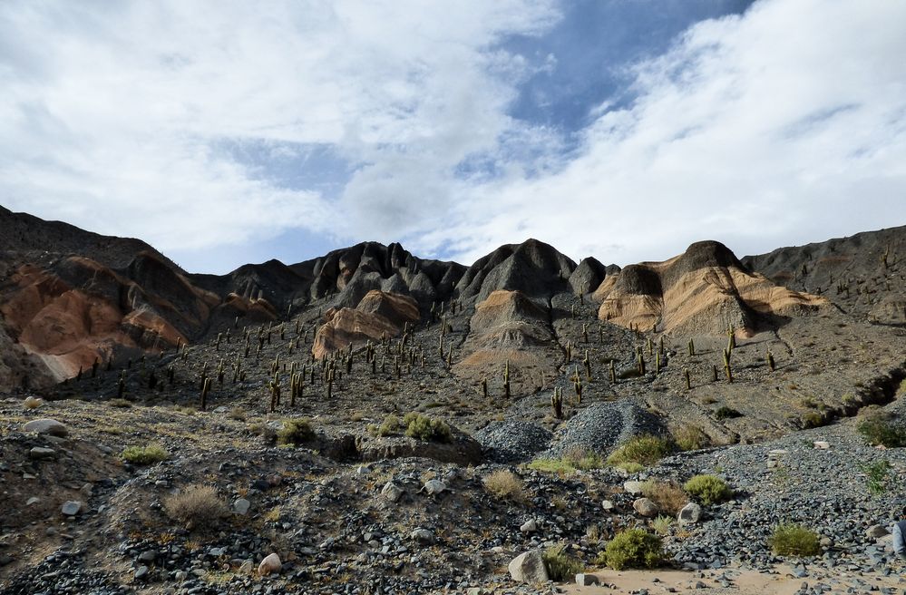 Montañas de Salta III