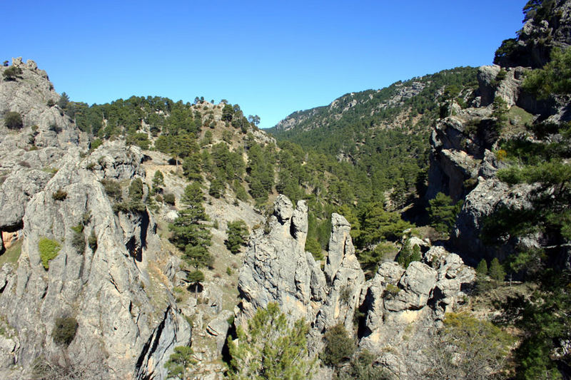 Montañas y tranquilidad