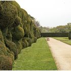 Montacute House - Gartenanlage