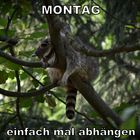 Montag