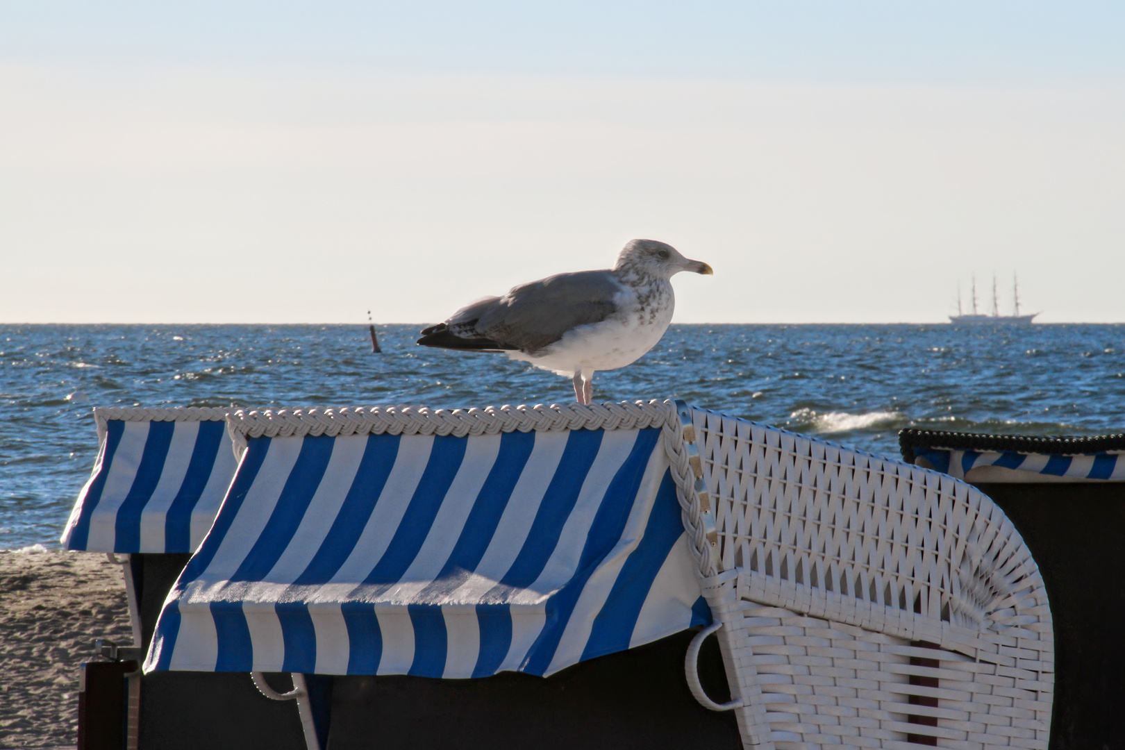 Montag mach ich mal auf Blau