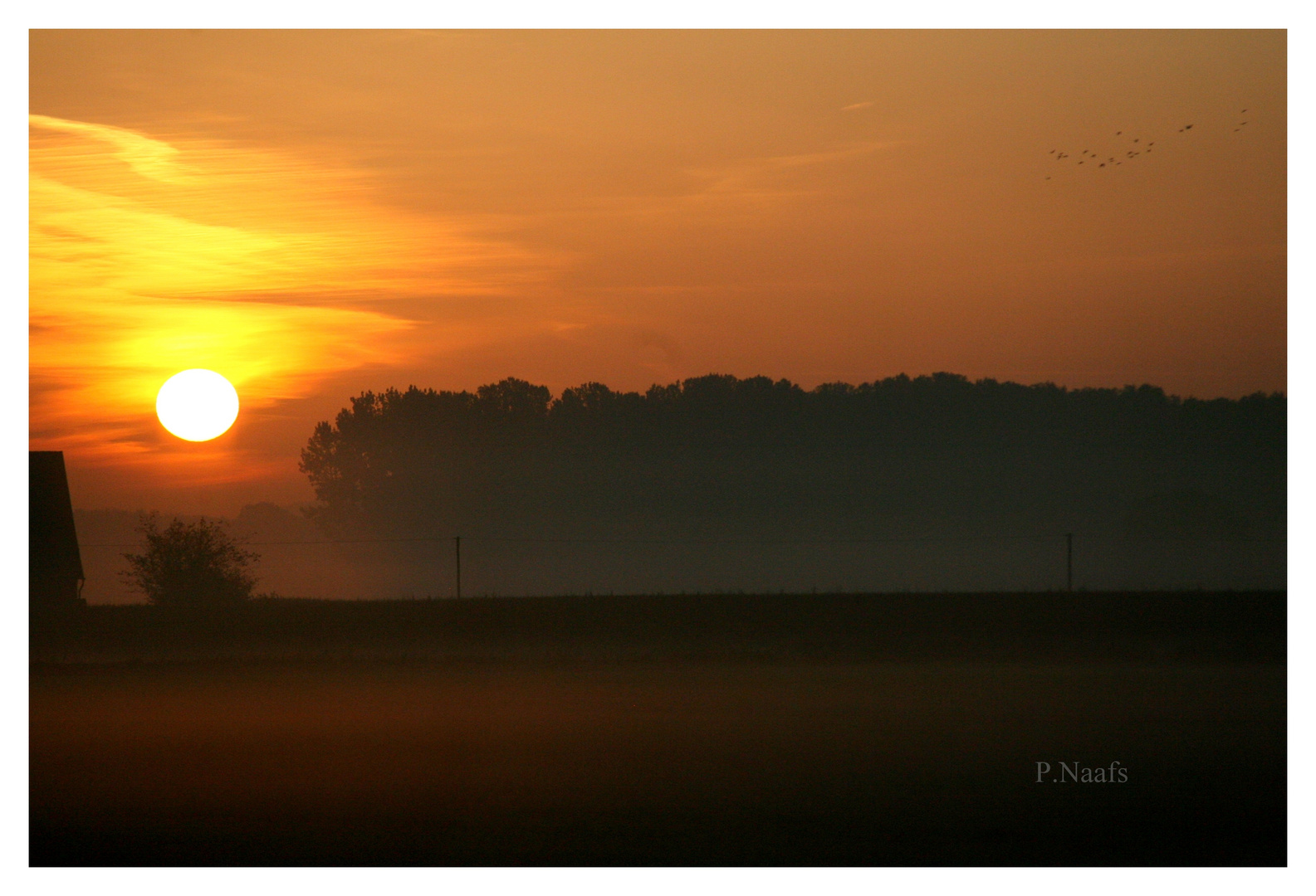 Montag Morgen - Ein wunderschöner Sonnenaufgang...