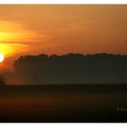Montag Morgen - Ein wunderschöner Sonnenaufgang...