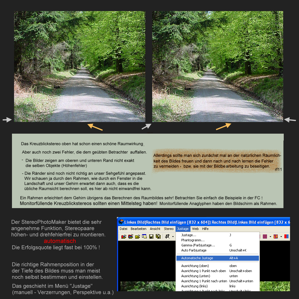 Montage des Stereopaares - Automatische Ausrichtung