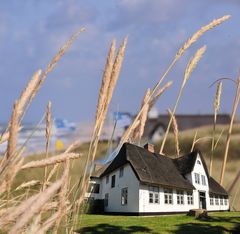 Montage Sylt Bauernhaus