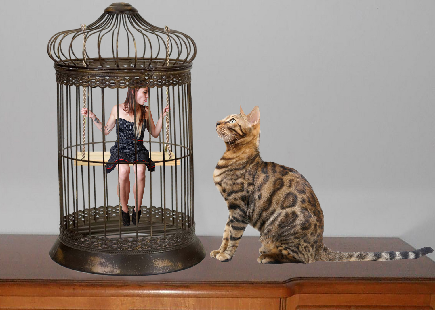 Montage Tirer La Langue Au Chat Photo Et Image Personnes Special Sujets Images Fotocommunity