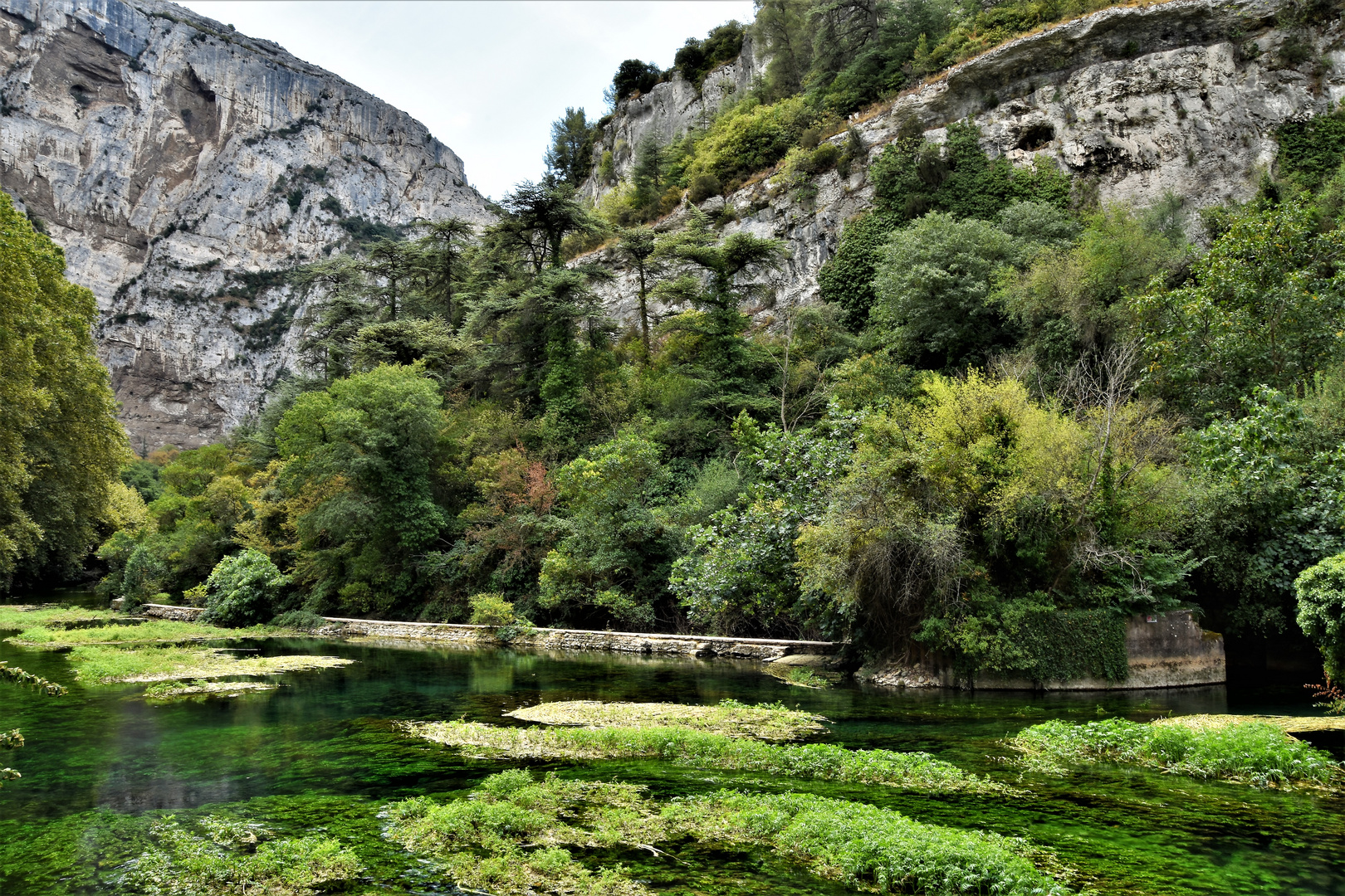 Montage vêtue au manteau vert les pieds dans l'eau