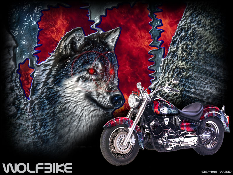 Montage "Wolfbike"