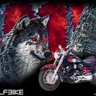 Montage "Wolfbike"