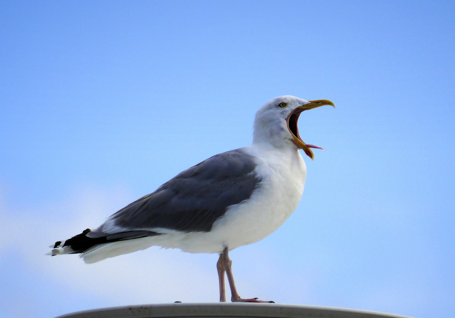 Montagmorgen....gäähn!