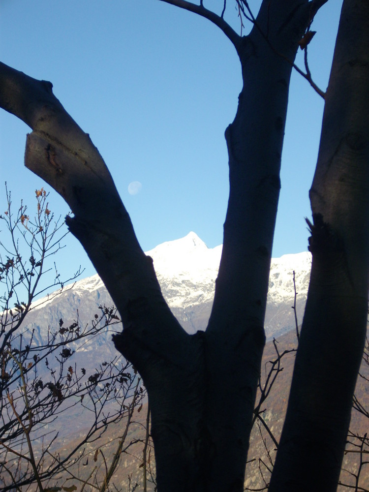 Montagna d'autunno