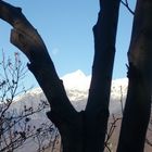 Montagna d'autunno