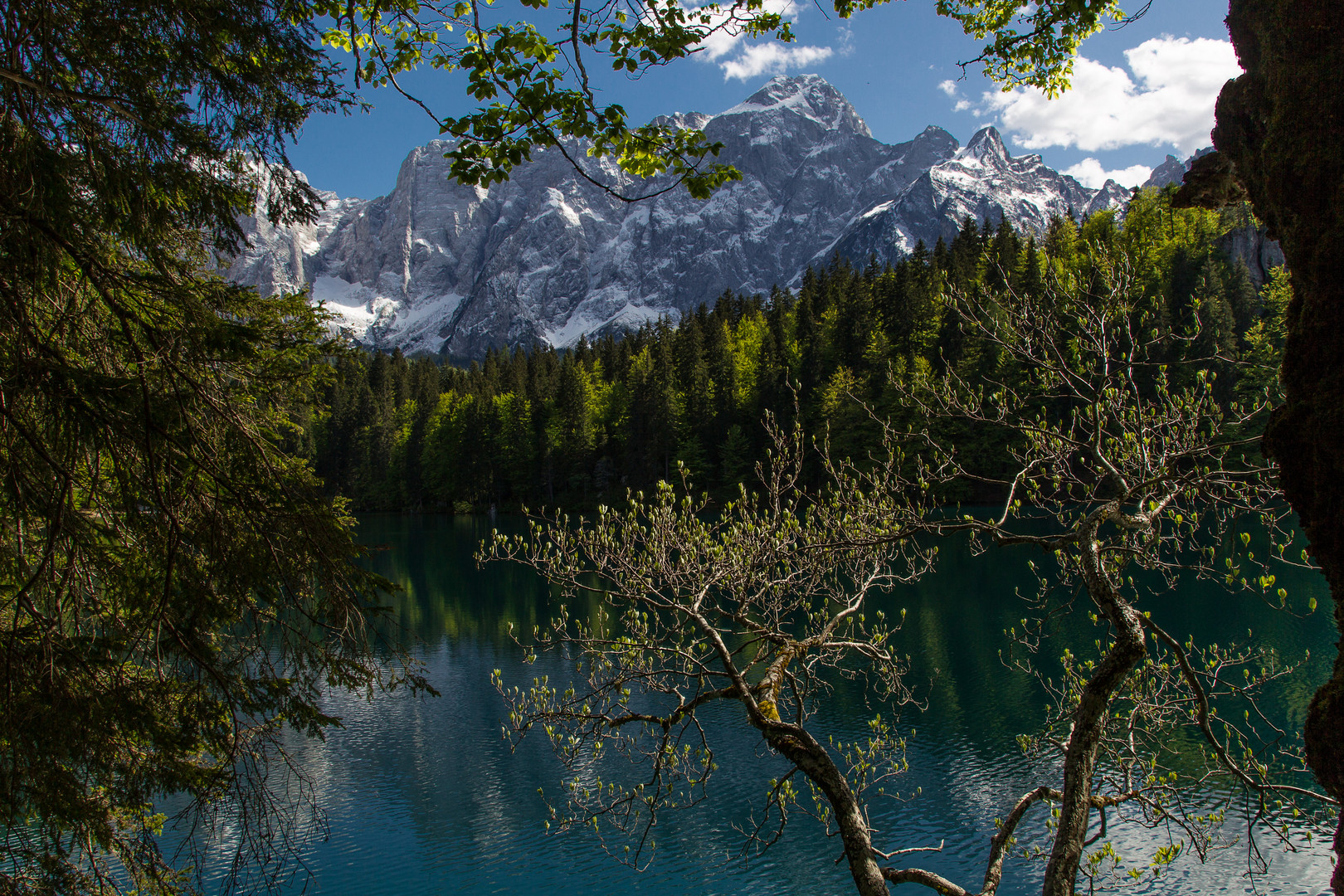 Montagna in primavera