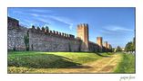 Montagnana-Le Mura di Gaetano Ficara