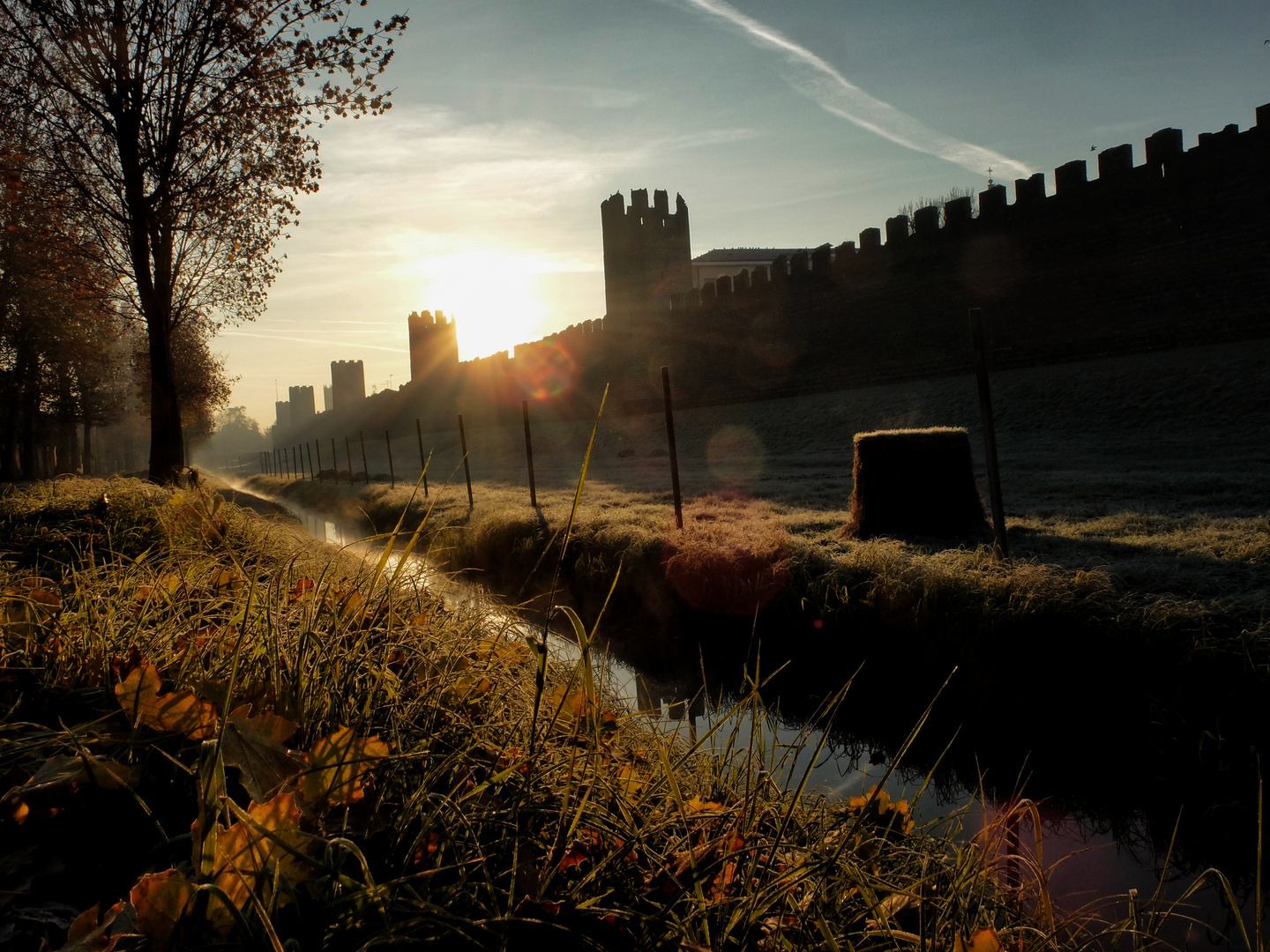 Montagnana ( PD )