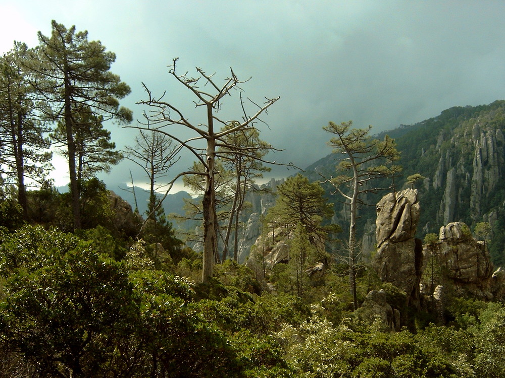 Montagne de Corse