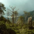 Montagne de Corse